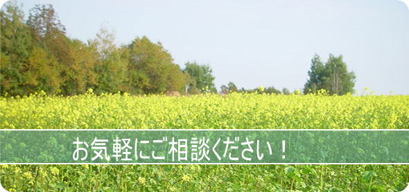 トップイメージ